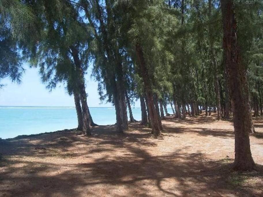 Beachfront Apartment Flic-en-Flacq Екстериор снимка